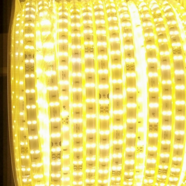 LED DÂY DSY / 2835 11MM VÀNG