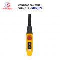 Công Tắc Cầu Trục – Palang COB – 61F MINJIN